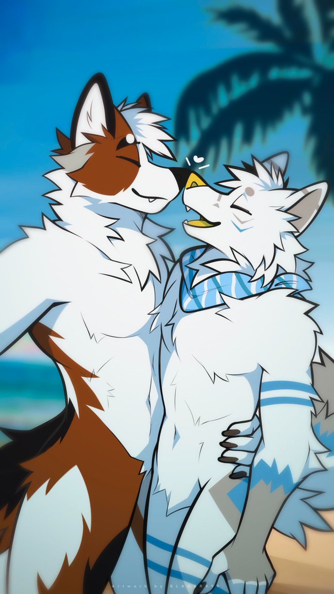 Griffin Dreamblazer 🐺 tweet media