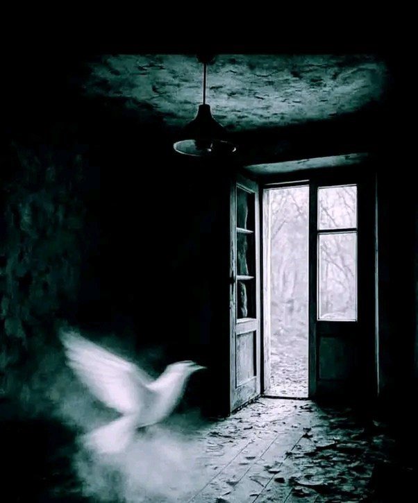 "الروحُ الممتلئة كالبحرِ العميق؛ هدوؤها مهابة، وصمتها سيادة. لا يلهث الممتلئُ خلف الأضواء، ولا يطرقُ أبواب...