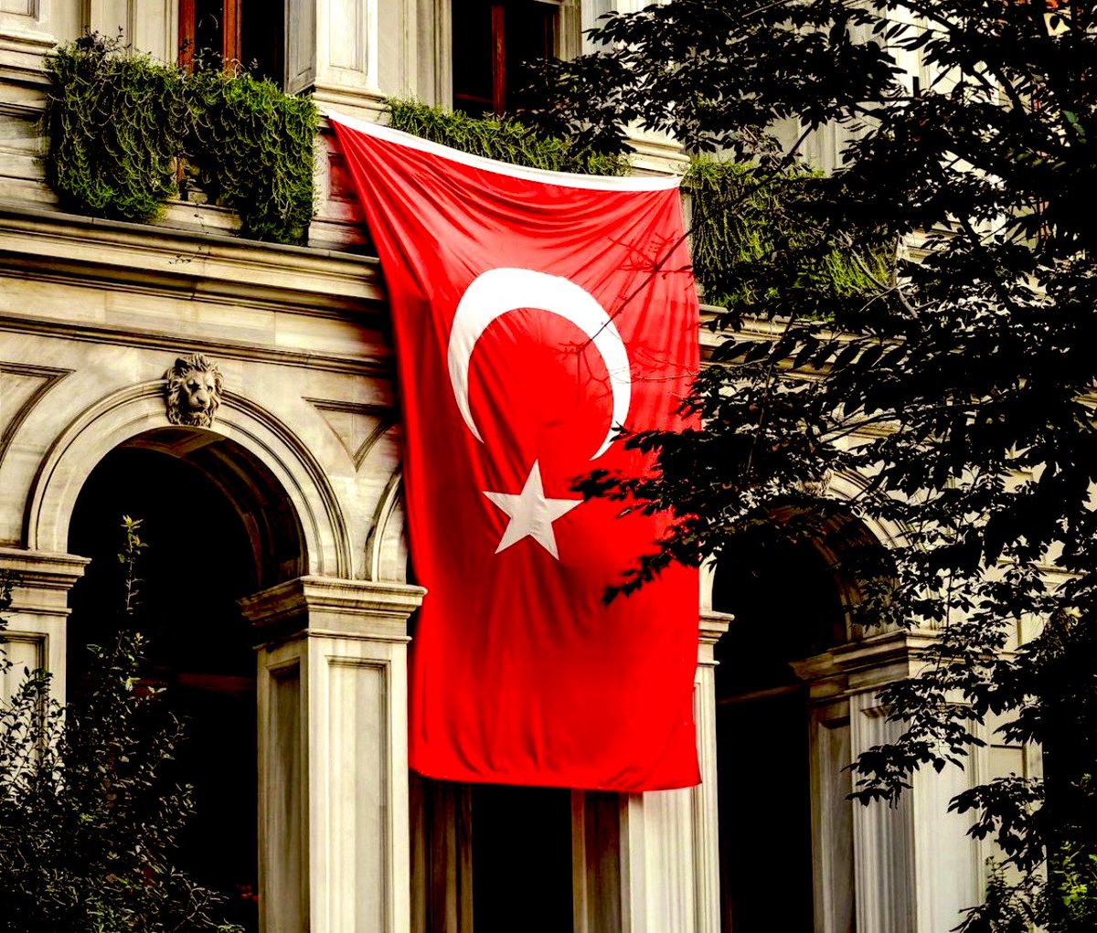 fredomwoman's tweet photo. Bayrakları bayrak yapan üstündeki kandır
Toprak eğer uğrunda ölen varsa vatandır!
#Türkbayrağı https://t.co/RZMigWQMCT