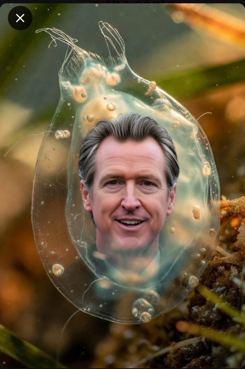 Trump-Rex King of the Dinosaurs vs Gavin the Single Cell Amoeba. 
<a href="/WarlordDilley/">Brenden Dilley</a> thought you'd get a laugh out of this one.