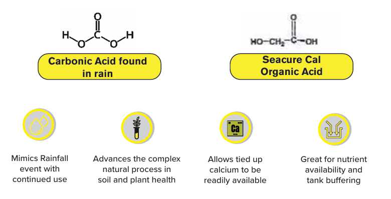 Unlike traditional SULPHURIC acid preparations, organic acids are safe, non-corrosive, cost effective, and  sustainable! USE SEACURECAL!! will boost the availability of the good salts (calcium &amp; magnesium) while improving the solubility of bad salts (carbonates and sodium.)