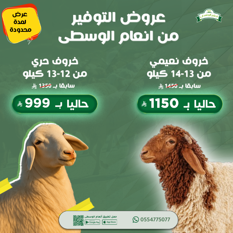 AnaamWustaa's tweet photo. عروض التوفير من انعام الوسطى 

خروف حري بوزن 13–14 كيلو
السعر قبل العرض: 1350 ريال 
السعر بعد العرض: 999 ريال

خروف نعيمي  بوزن 13–15 كيلو
السعر قبل العرض: 1450 ريال 
السعر بعد العرض: 1150 ريال

 التوصيل مجانا داخل مدينة الرياض وتقدر تقسطها مع تابي