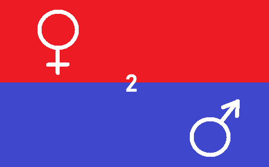 Humanoide2028's tweet image. Weltweit erste "Nur zwei" Flagge! Bitte teilen! The world's first "Only Two" flag! Please share! Le premier drapeau « Seulement deux » au monde ! Partagez !  Первый в мире флаг "Только двое"! Пожалуйста, поделитесь! #NurZwei #OnlyTwo #Толькодвое #SeulementDeux
