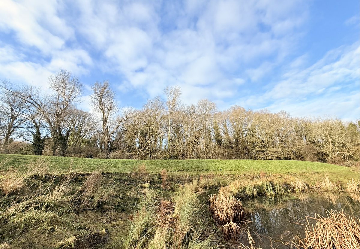 UniqueImagePhotography tweet media