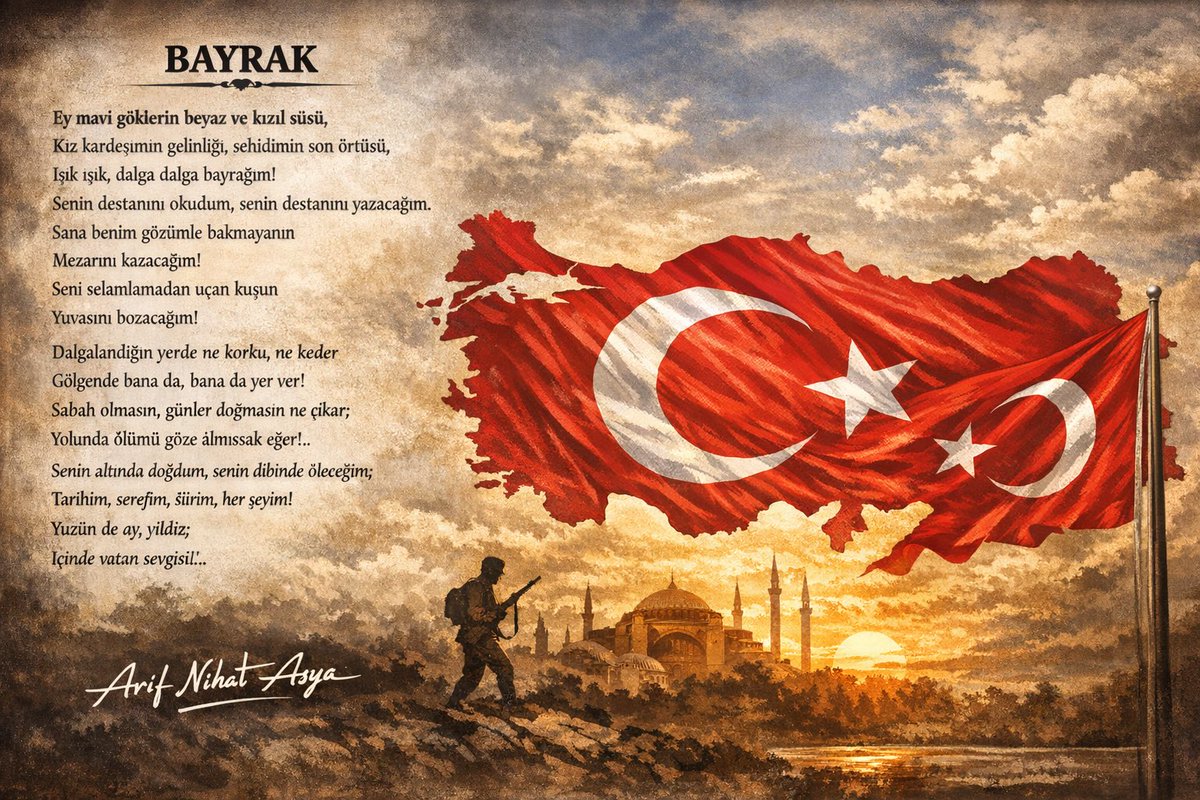 #BayrakNamustur