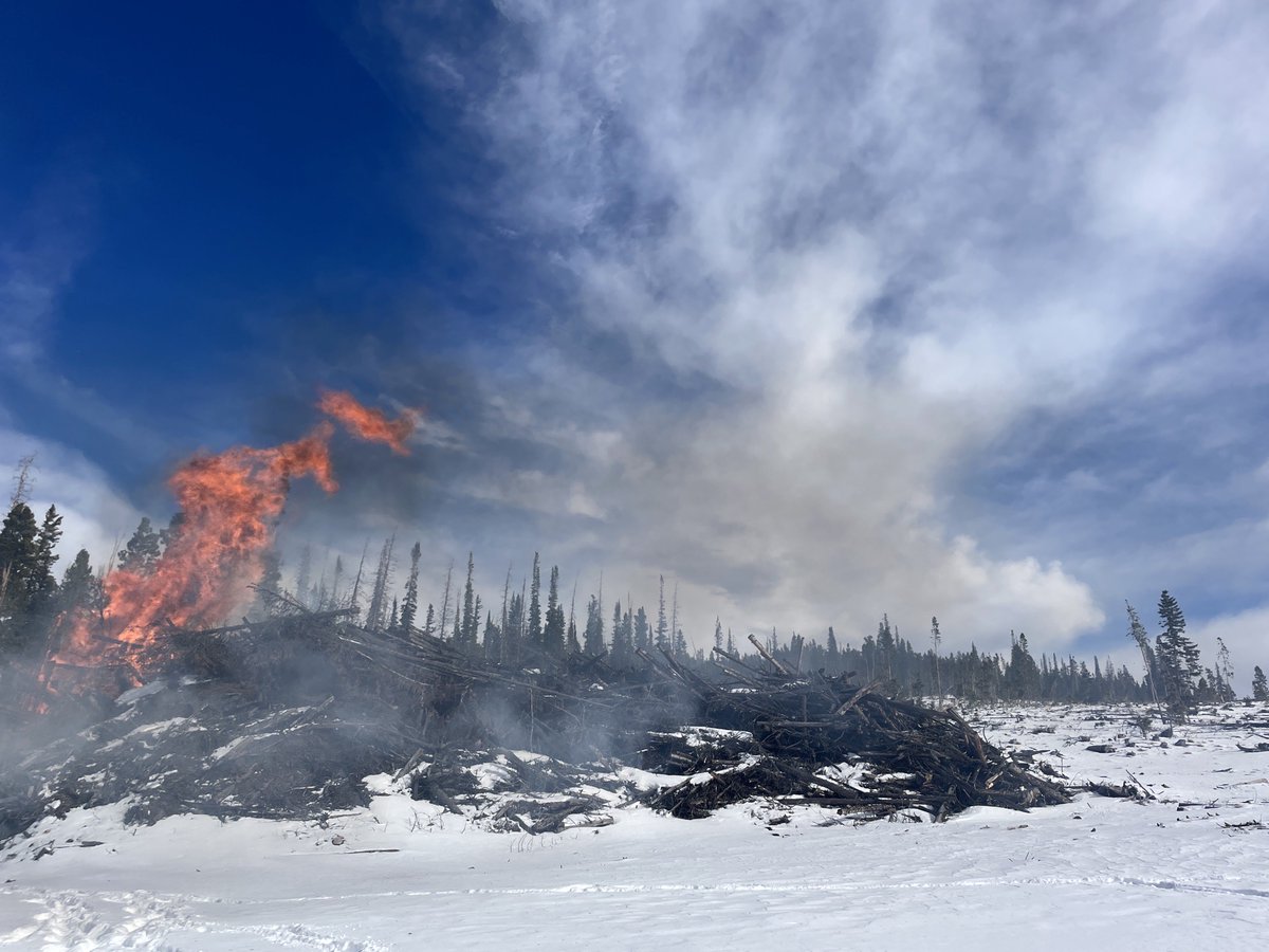 Forest Service, ARP tweet media