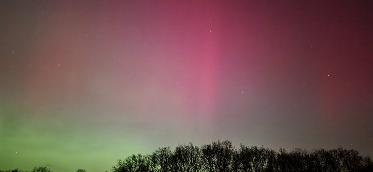 Dennie Gaasendam / DG-Fotografie tweet media