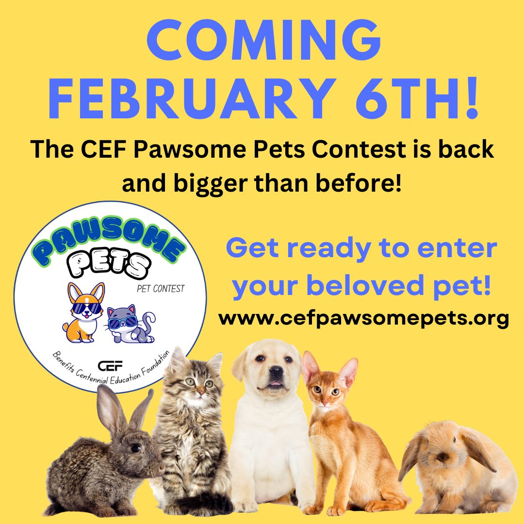 Centennial Education tweet media