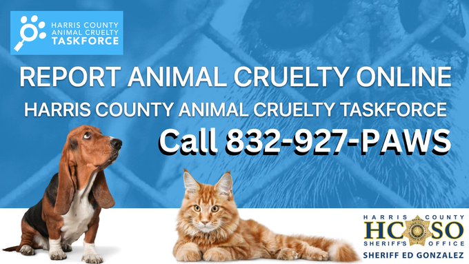 HCSOTexas's tweet image. ❄️ Houston, a weekend freeze is on the way. Remember the 4 P’s: People, Pets, Pipes &amp;amp; Plants.

🐾 Bring pets indoors, keep ID updated &amp;amp; clean up antifreeze spills.

Report animals left outside: apps.harriscountytx.gov/AnimalCruelty

More tips: @ReadyHarris. #HouWX #PetSafety