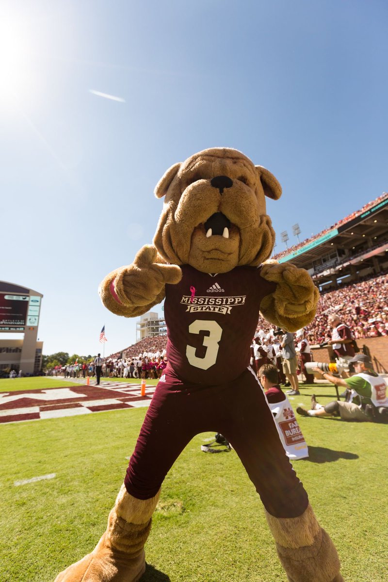 𝑻𝒚𝒔𝒐𝒏 “𝑯𝑼𝑴𝑩𝑳𝑬 𝑩𝑬𝑨𝑺𝑻” 𝑯𝒖𝒏𝒕𝒆𝒓 tweet media