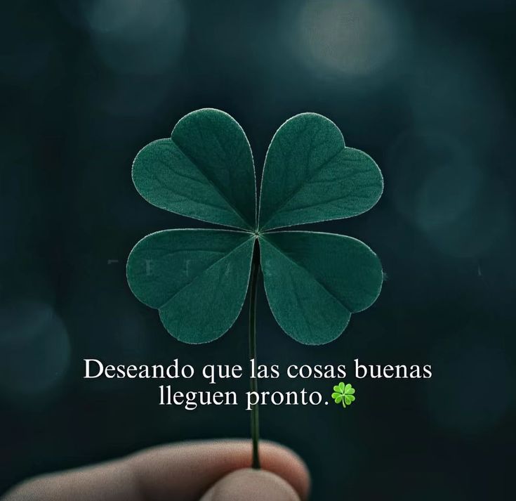 180° || Reflexiones tweet media