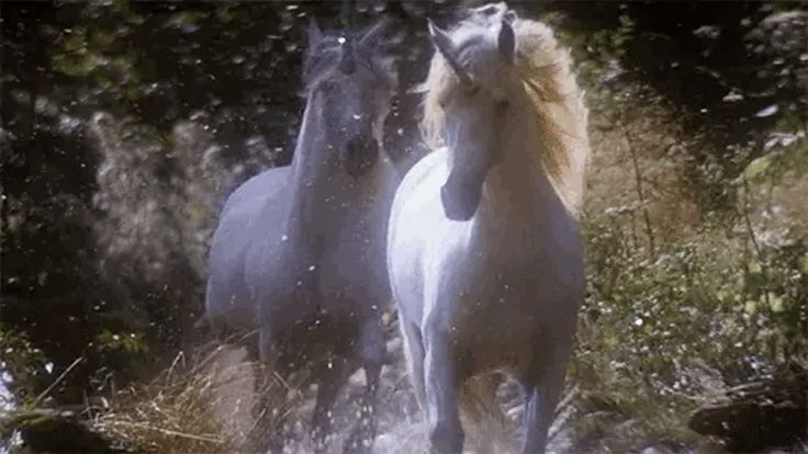 luv2hye's tweet image. My vision for underdogs. 🪽♡⁠˖⁠꒰⁠ᵕ⁠༚⁠ᵕ⁠⑅⁠꒱