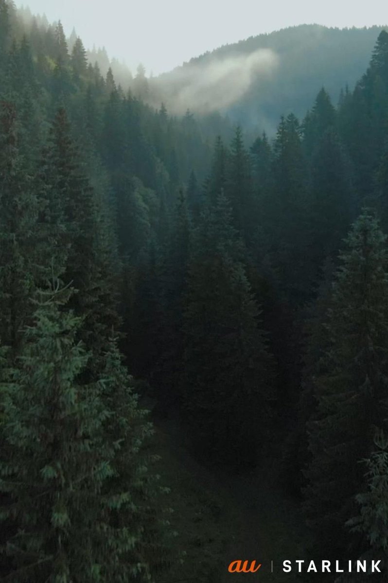 Han_Alim's tweet image. 神保町の古本屋街をぶらぶら歩いてる。掘り出し物の本を探すのは宝探しみたいで楽しい
500円の文庫本を3冊購入 🦋