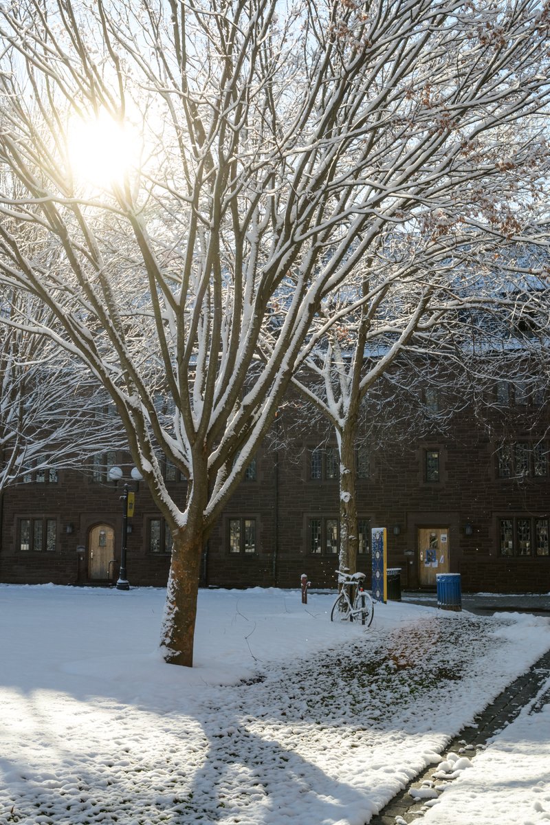 Trinity College tweet media