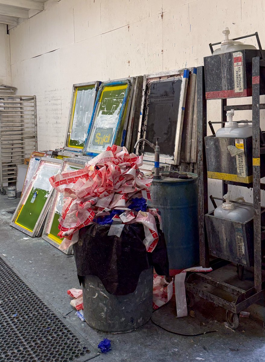 Kaia Rhodes tweet media