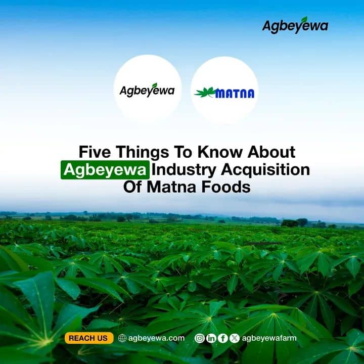 EkitiArshavin's tweet photo. Agbeyewa Industry has made a Powerhouse move by acquiring Matna Foods, birthing a new Success Story in the African cassava market.
Here are key highlights from the acquisition deal.
#agbeyewafarms
#matnafoods
#cavistaholdings
#cassavasector
#starchprocessing https://t.co/oZuMMlLyj6