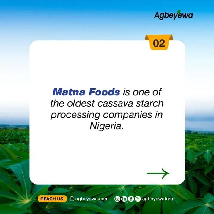 EkitiArshavin's tweet photo. Agbeyewa Industry has made a Powerhouse move by acquiring Matna Foods, birthing a new Success Story in the African cassava market.
Here are key highlights from the acquisition deal.
#agbeyewafarms
#matnafoods
#cavistaholdings
#cassavasector
#starchprocessing https://t.co/oZuMMlLyj6