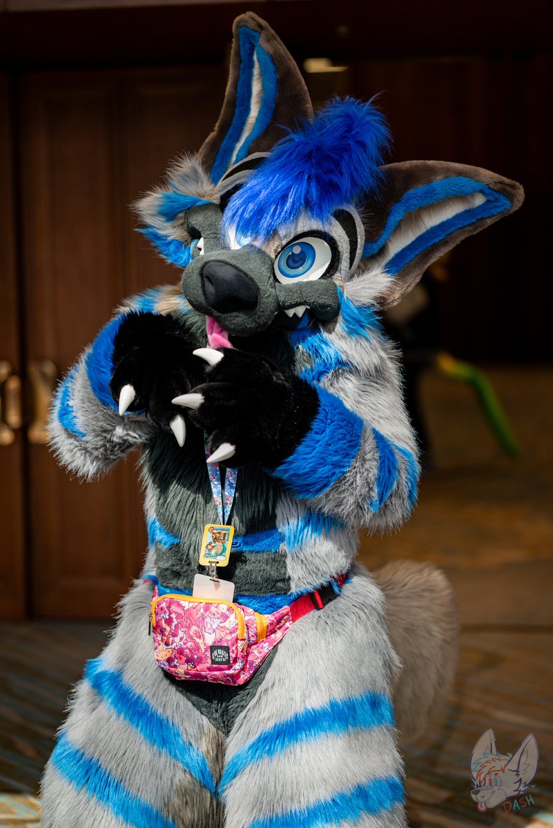 RockySheperd's Daily Fursuit Photo 

🐾- Pit The Yeen 
🧵- <a href="/MoreFurLess/">More Fur Less</a> 
📷- savii_dash
🌎- Furnal Equinox 2024