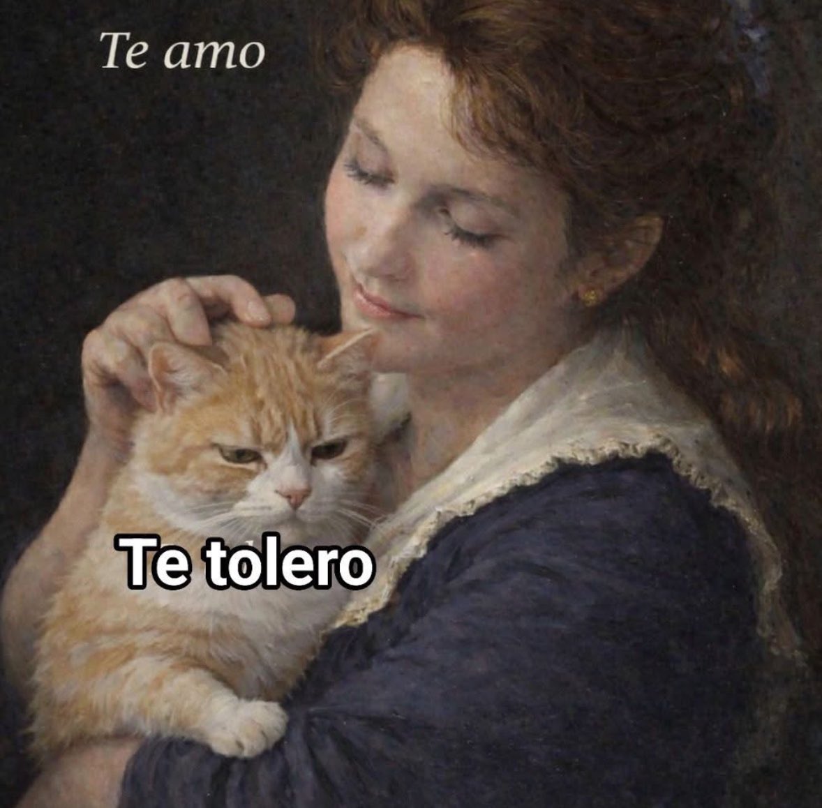 norelenita's tweet image. Mis gatos 🤭