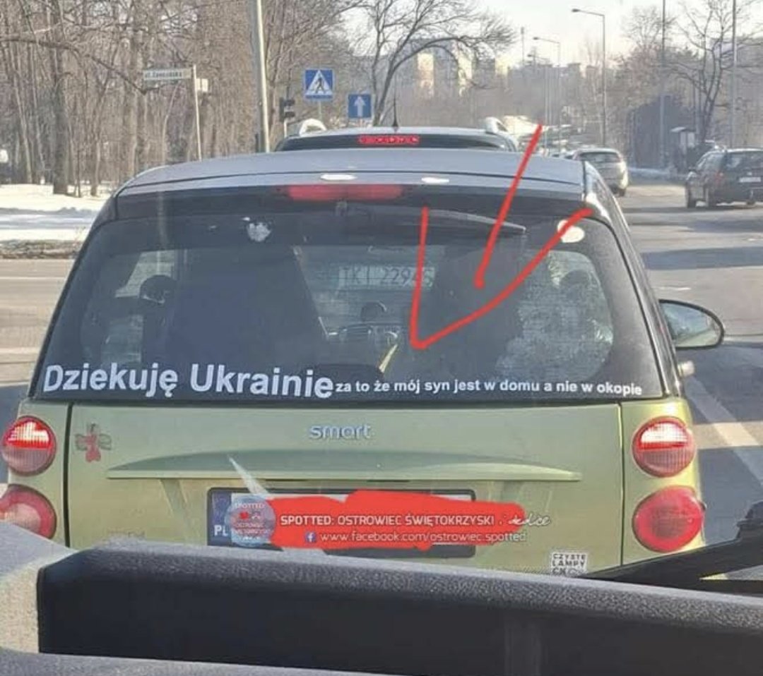 NEXØM🇵🇱 tweet media