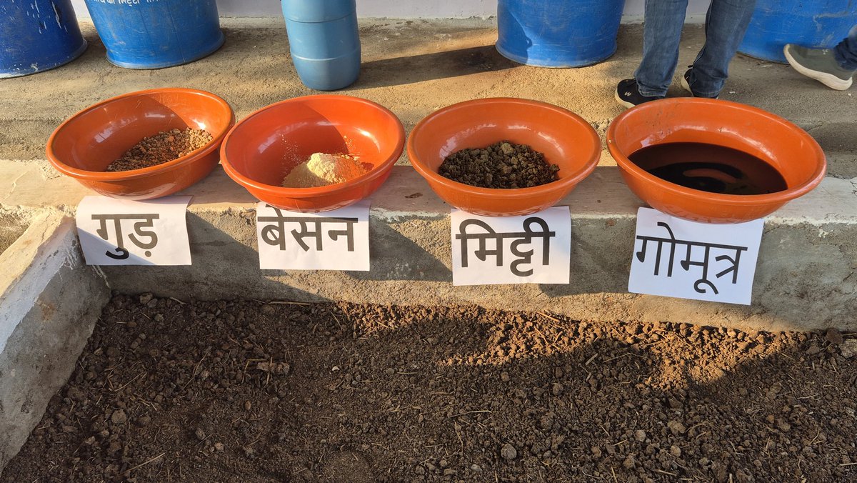 JnkvvP's tweet photo. दिनांक 19 जनवरी 2026 को राष्ट्रीय प्राकृतिक खेती मिशन अन्तर्गत पांच दिवसीय प्रशिक्षण कार्यक्रम मे कृषि विज्ञान केन्द्र पन्ना के वैज्ञानिक डा.पी.एन.त्रिपाठी एवं डा.आर.के.जायसवाल द्वारा कृषि सखियो को घनजीवामृत और ब्रम्हास्त्र बनाने और उसकी उपयोगिता के बारे मे प्रशिक्षण दिया गया। https://t.co/uPTl2jBLmA