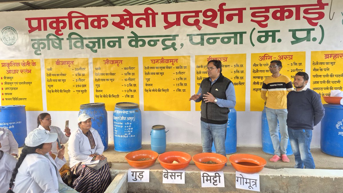 JnkvvP's tweet photo. दिनांक 19 जनवरी 2026 को राष्ट्रीय प्राकृतिक खेती मिशन अन्तर्गत पांच दिवसीय प्रशिक्षण कार्यक्रम मे कृषि विज्ञान केन्द्र पन्ना के वैज्ञानिक डा.पी.एन.त्रिपाठी एवं डा.आर.के.जायसवाल द्वारा कृषि सखियो को घनजीवामृत और ब्रम्हास्त्र बनाने और उसकी उपयोगिता के बारे मे प्रशिक्षण दिया गया। https://t.co/uPTl2jBLmA