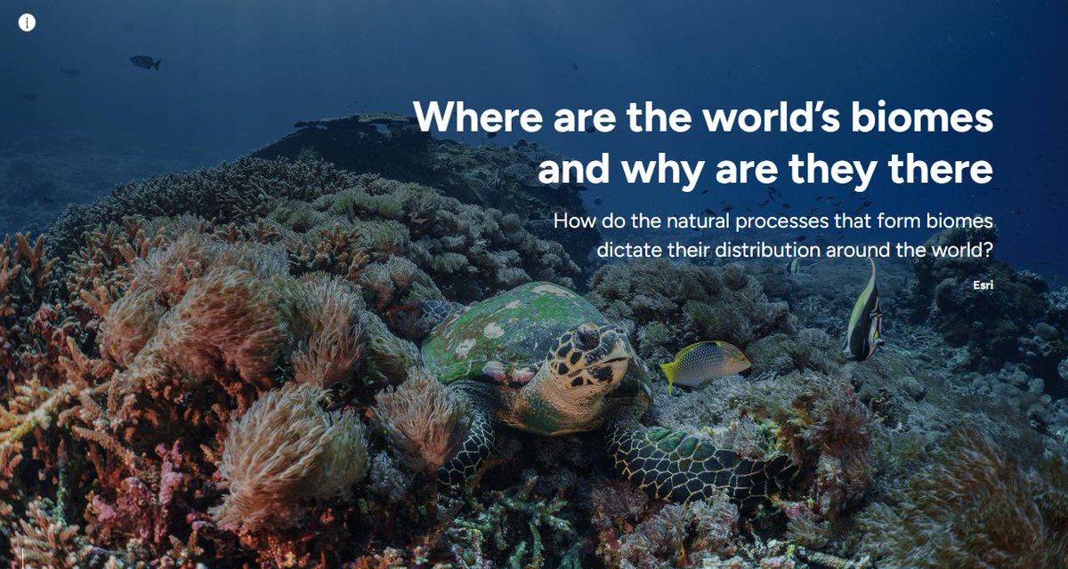 GISEd's tweet photo. Where are the world’s biomes and why are they there? Incorporate this activity into your classroom using National Geographic MapMaker 🗺️https://t.co/DO1AA0Mujb
.
#MapMakerMonday https://t.co/qlpwZPZYC6