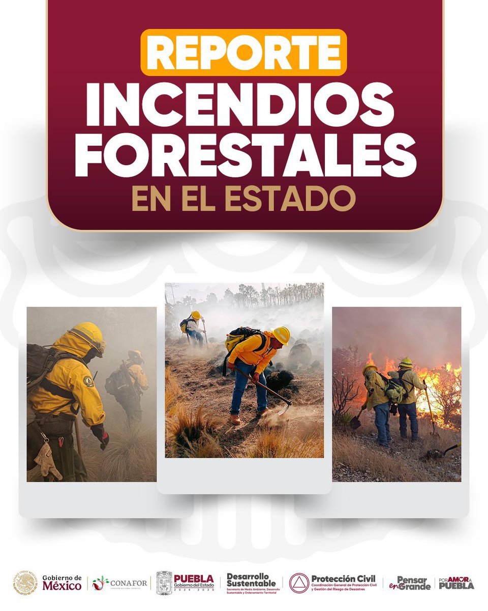 AmbienteGobPue's tweet photo. #AHORA| El Centro Estatal de Manejo del Fuego informa que se registra un #IncendioForestal en el municipio de Cohetzala, por lo que esta secretaría en coordinación con @CONAFOR despliegan a las brigadas #Coyote5 y #Rojo5 para realizar labores de combate.
El @Gob_Puebla mantiene monitoreo en tiempo real de las zonas forestales de la entidad para atender cada siniestro.
#PorAmorAPuebla
