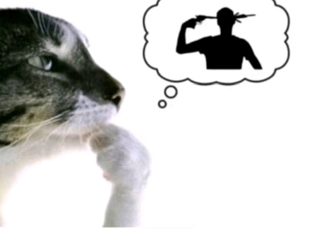 Santicius12's tweet image. EL autoestima de un hombre heterosexual feo en cuestión: