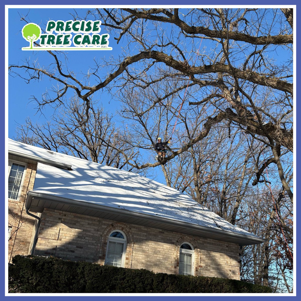 PreciseTreeCare's tweet image. Albino and crew are out braving the cold today. Cold weather or not, our crews are out taking care of trees all winter long.