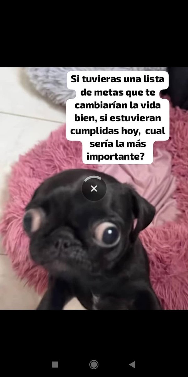 Soy Marcela 😘 tweet media