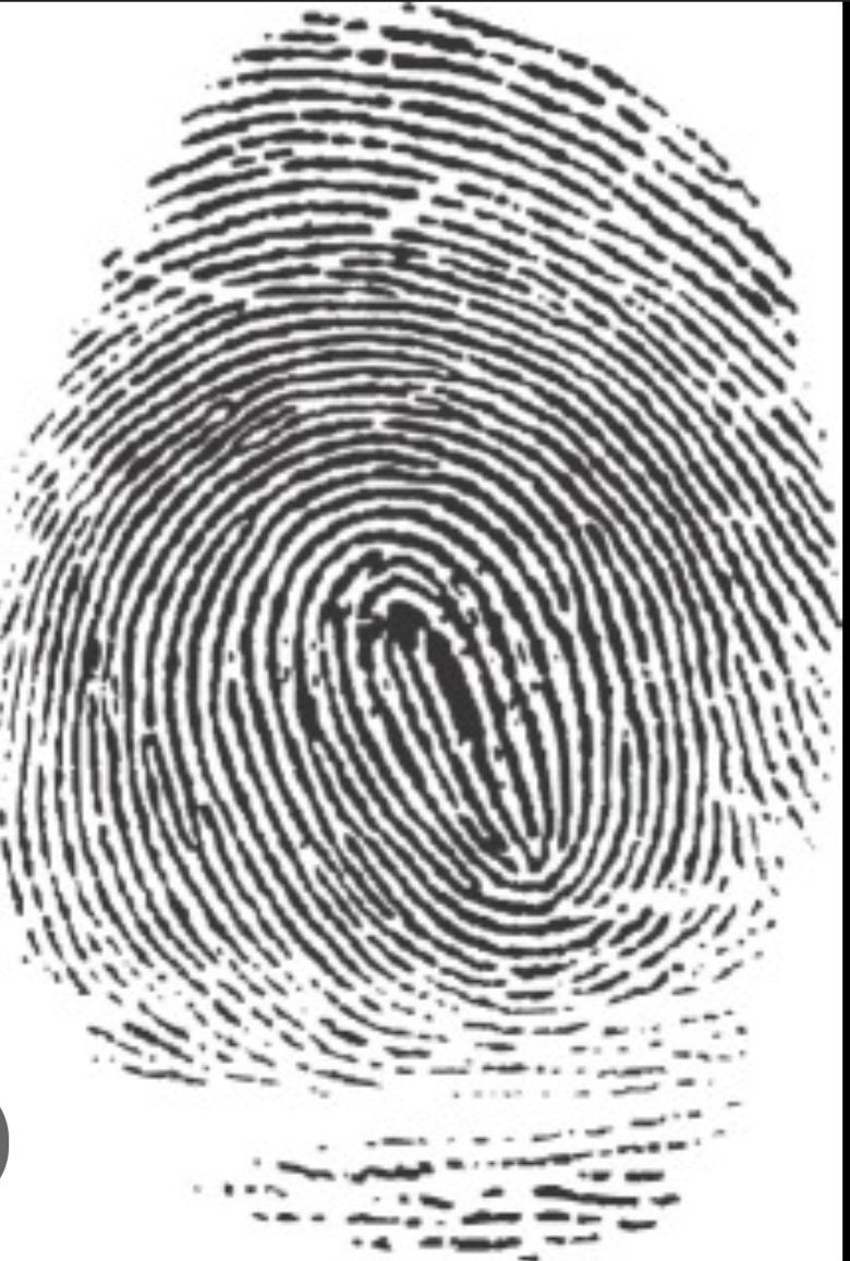 I found out today that my fingerprint on the same finger on my other hand opens my phone. In all the years I've had a phone I've never tried it before. Every day  is a school day. Anyone else know this?