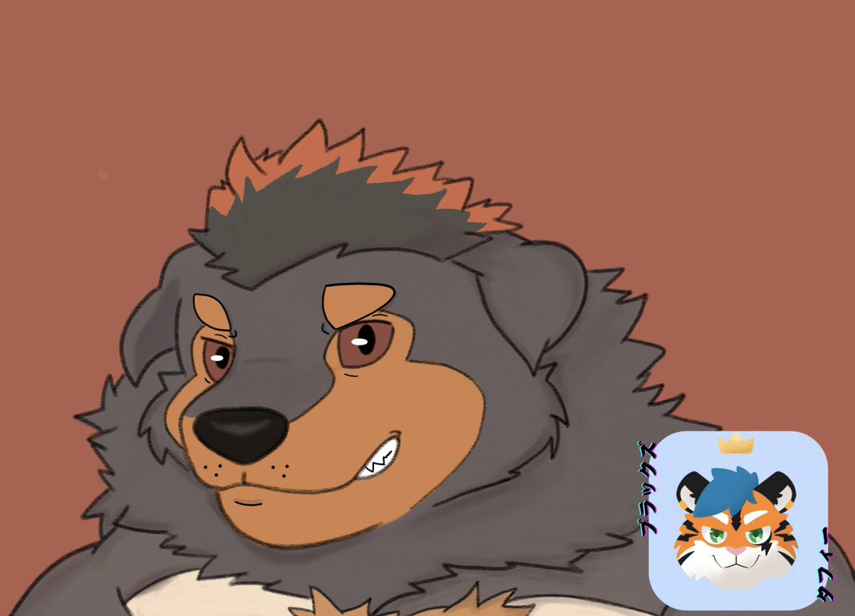 Tyson 🐯 tweet media