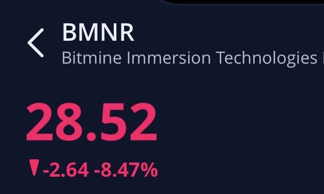 My wife says that giving birth to our kids was the most painful experience of her life, but I’m not sure she knows the pain of being a $BMNR investor.
Feels comparable.