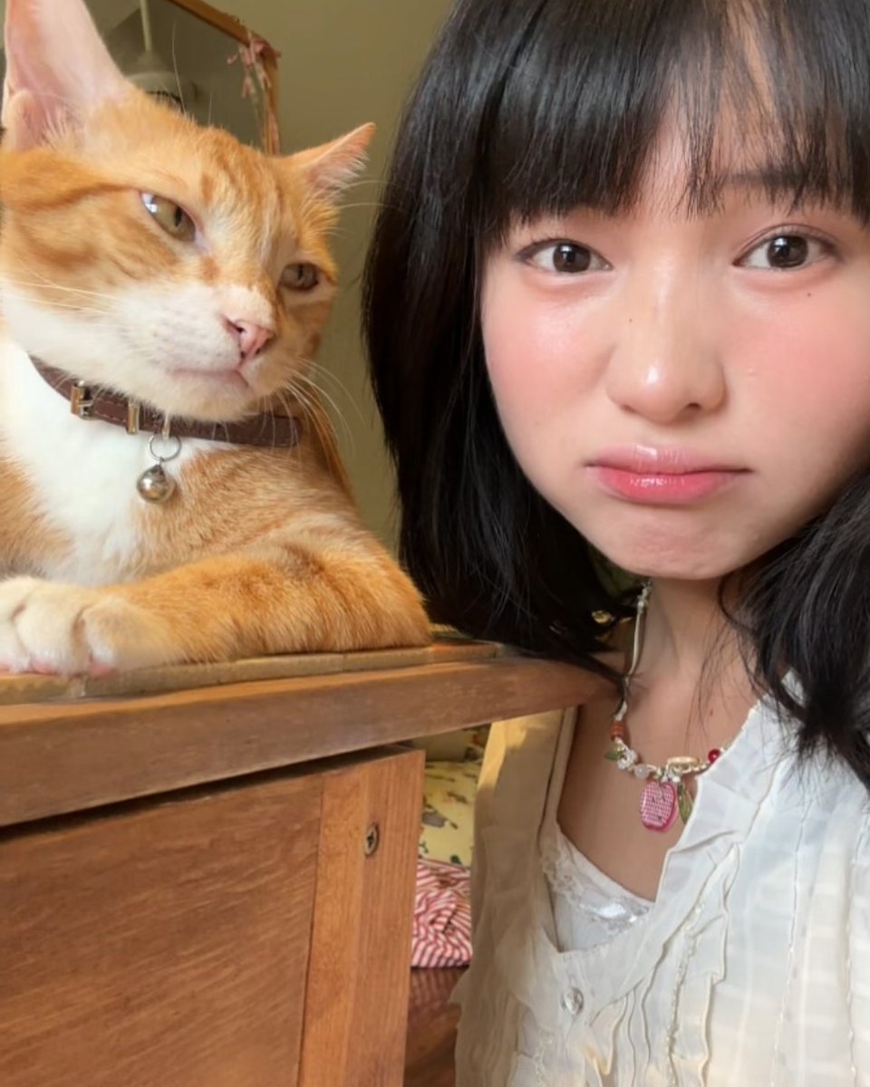 chstmc's tweet image. 