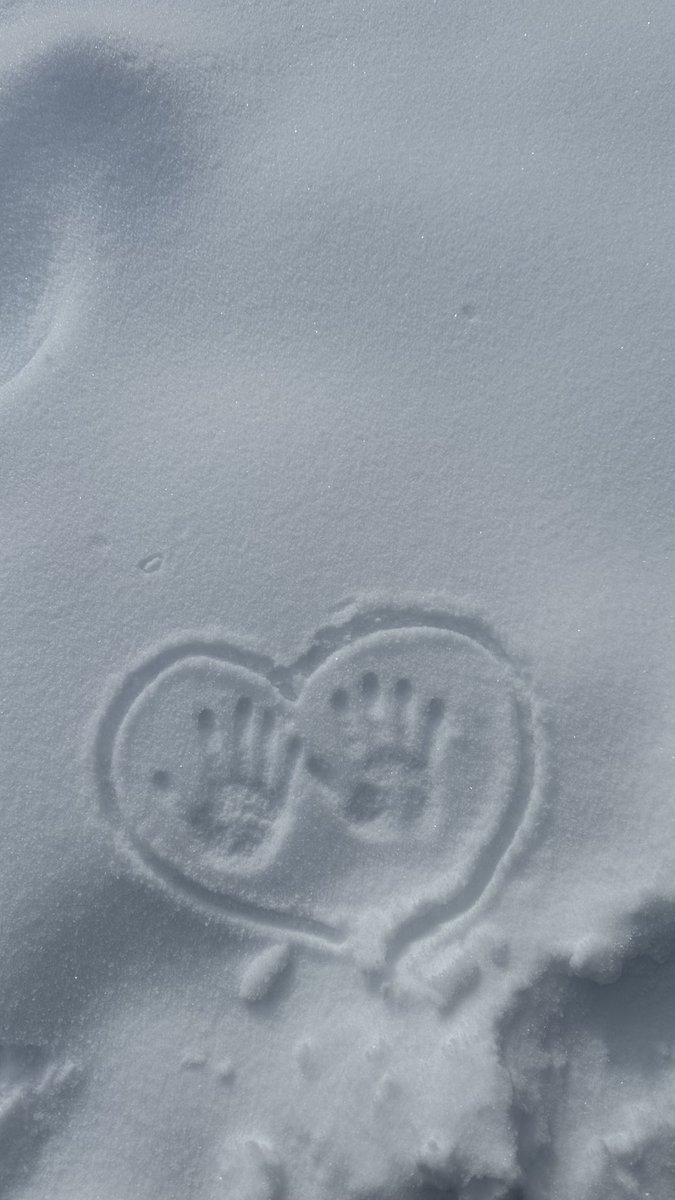 زَهراء tweet media