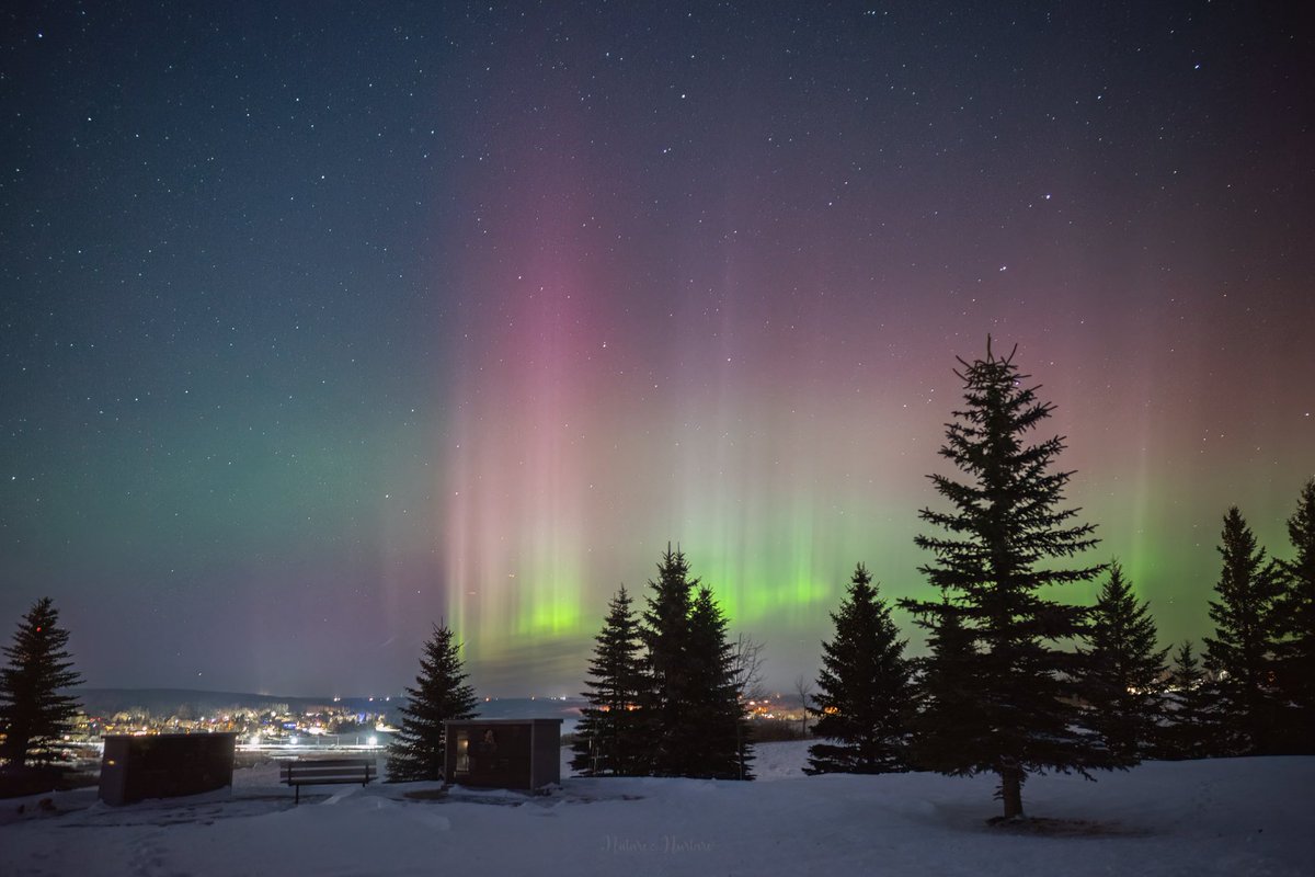 tracygregorash's tweet image. 10:40–10:50pm — Minnedosa, Manitoba 🌌
A brief but beautiful burst of aurora dancing across our beautiful small town. 
Grateful for even the short-lived moments like this. #aurora #manitoba #minnedosa