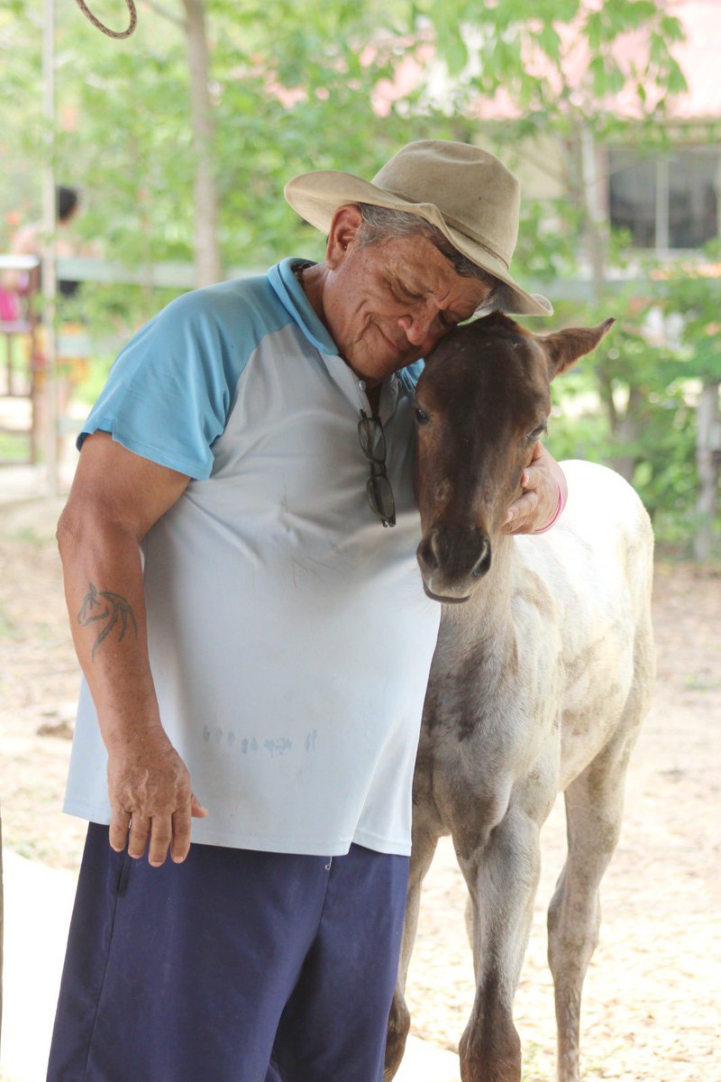 Por piso tengo sabana 
por techo el azul del cielo,
por ventana el horizonte 
por paredes los linderos… #Choleras