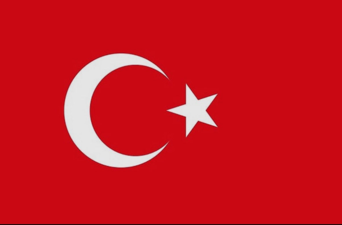 berk oktay tweet media