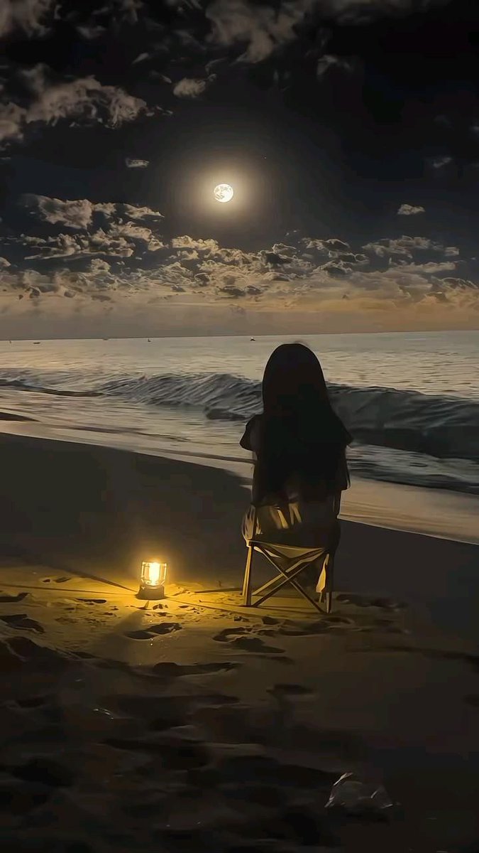 Evening ✨️