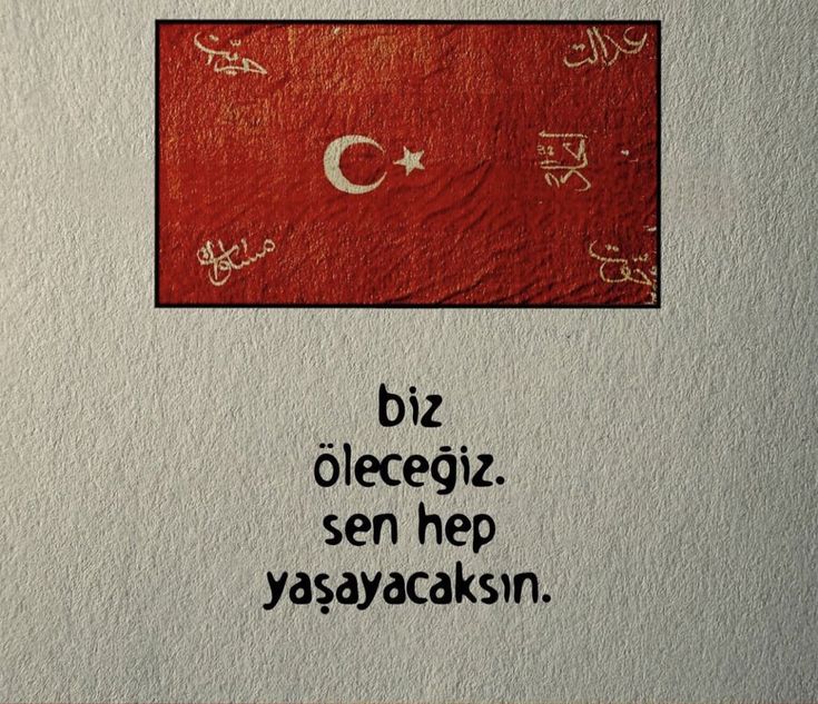 Umut tweet media