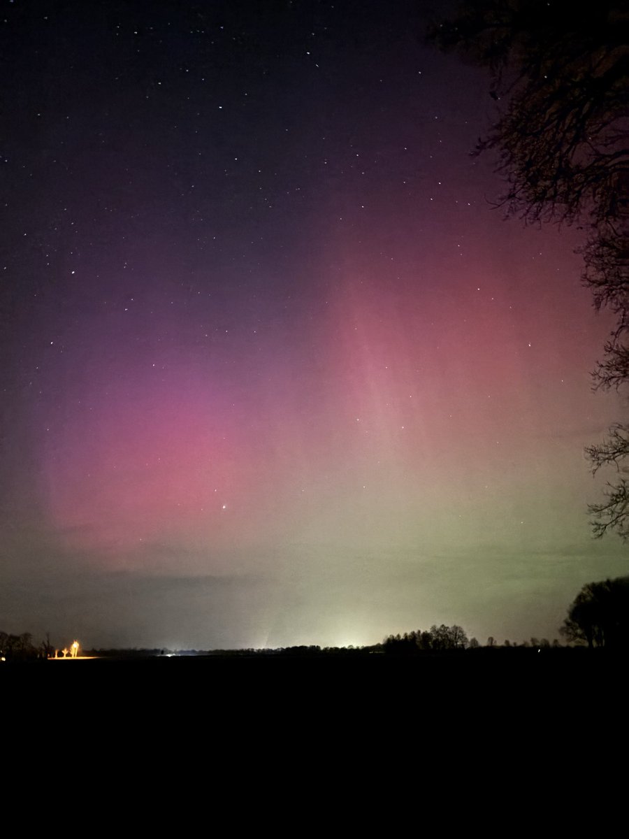 Bianca Habing tweet media