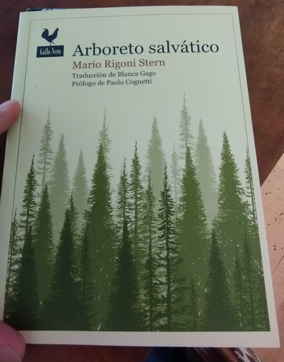 Alvaro Promis tweet media