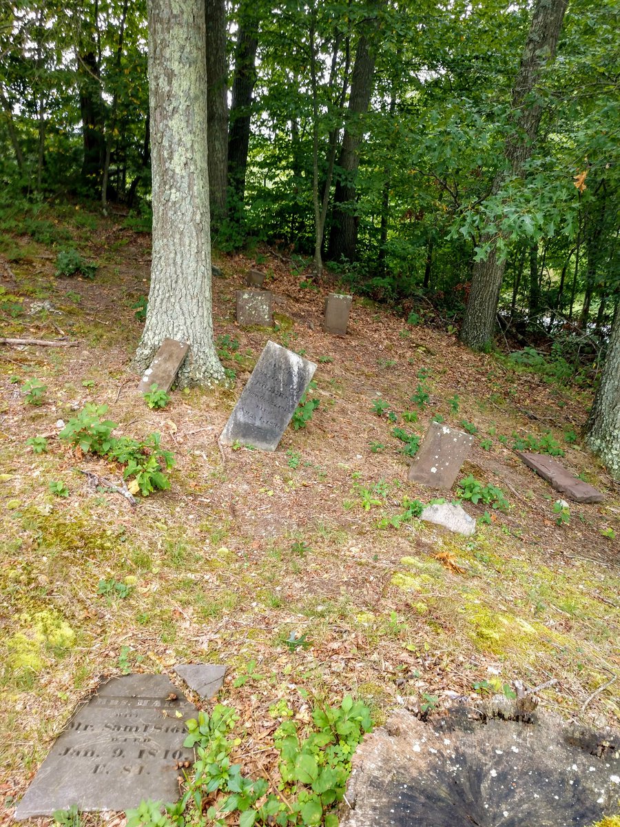 commish231's tweet photo. Forgotten Graves https://t.co/l0rj7OW7Kr