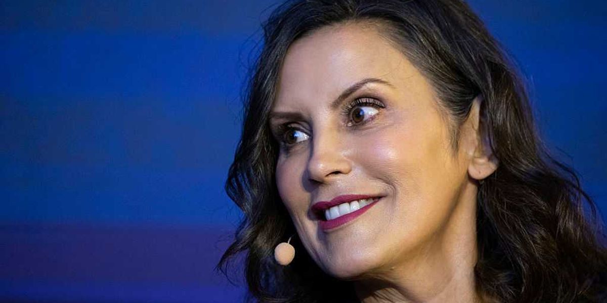 theblaze's tweet image. Woke Whitmer appointee from Nigeria admits to day-care scam, stealing millions from Michigan taxpayers dlvr.it/TQSdVw