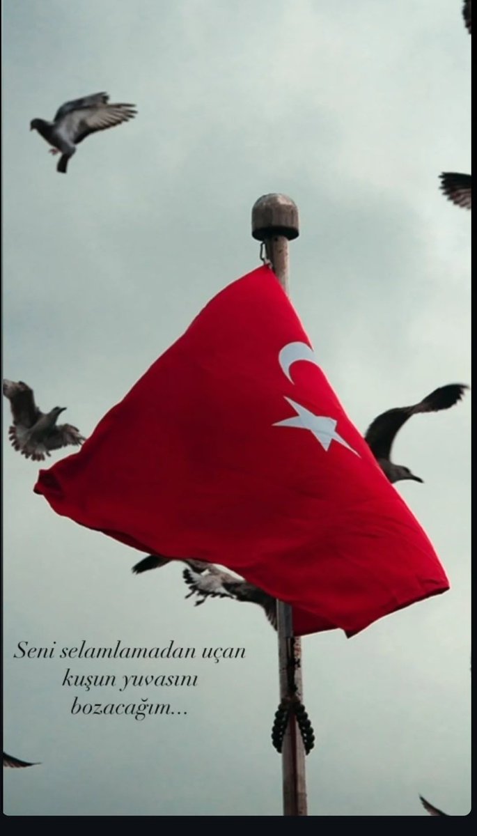 efecmbm's tweet photo. #TürkBayrağıBayraksızlar bayraksızlar,
Yere düşse bayrak sızlar,
Nerden bilsin kıymetini,
Soysuz sopsuz bayraksızlar!" https://t.co/OQAaBZAy2X
