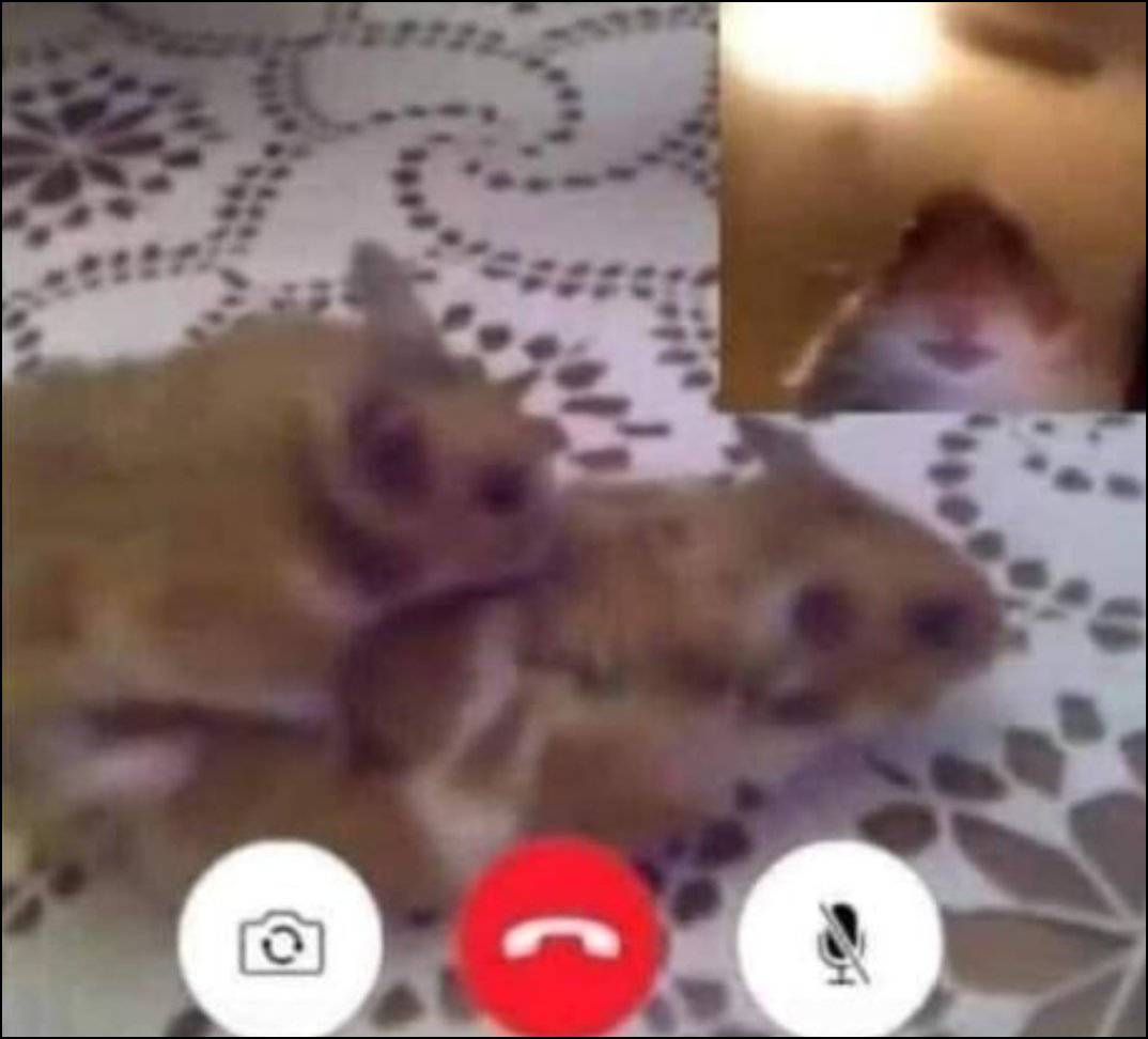 SweetLemonVT's tweet image. YA ESTAMOS EN DIRECTO!!

VALLAN PASANDO MIENTRAS BUSCO QUE TRAGAR