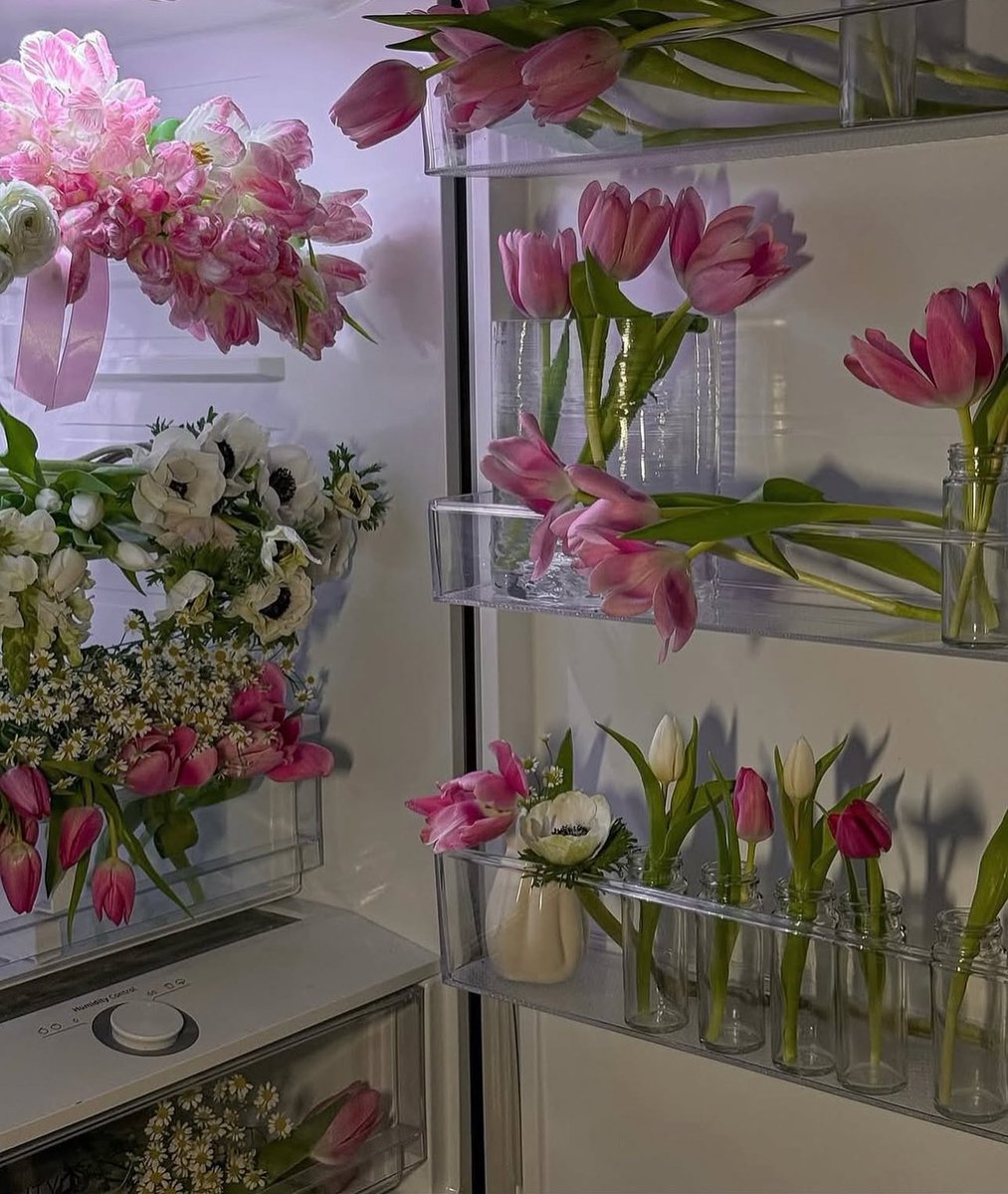 1leio's tweet image. 