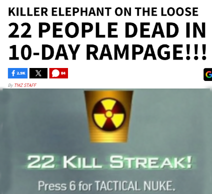 Trailer Park Pussy Commander tweet media