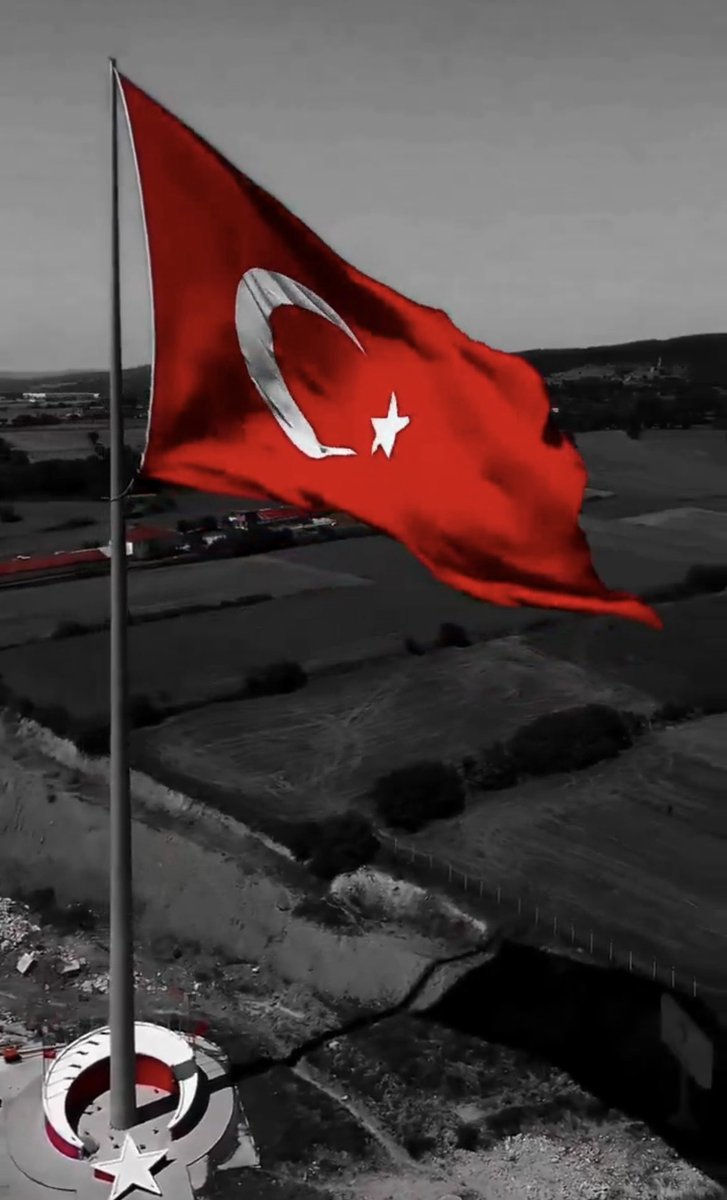 doğa tweet media